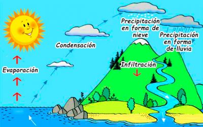 EL CICLO DEL AGUA (INFANTIL 4 AÑOS)